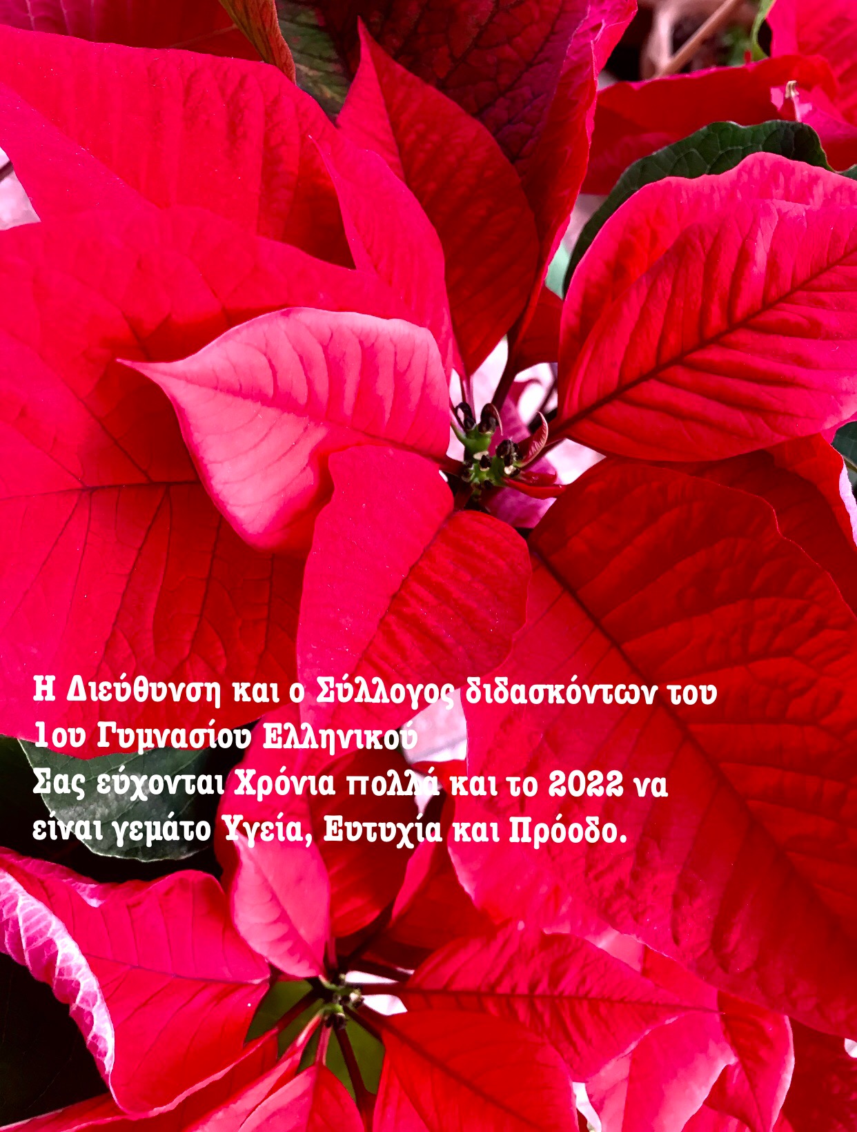 A88ABD6A 0337 4753 BE4C C9AB341B1DAB